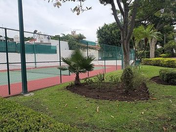place photo 34