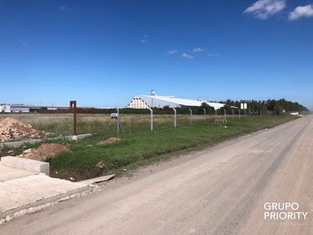 place photo 15