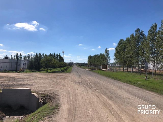 place photo 19
