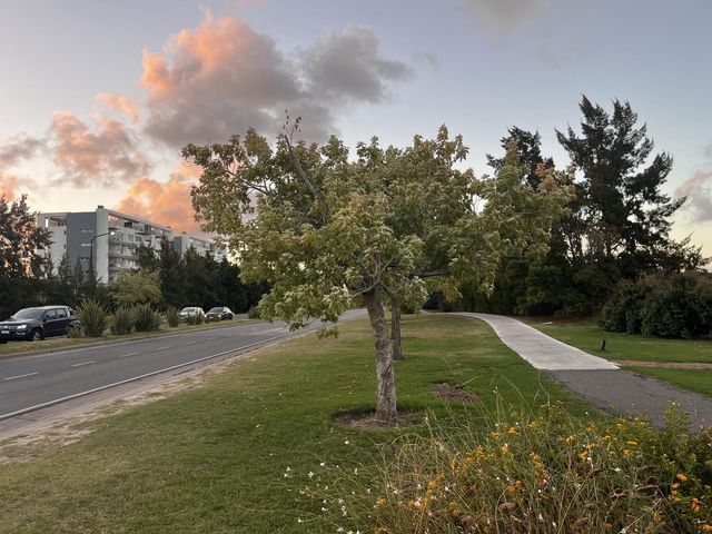 place photo 32