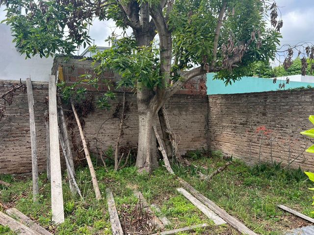 place photo 21