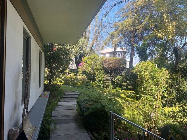 place photo 41