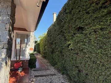 place photo 35