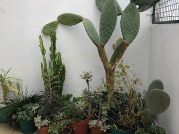 place photo 27