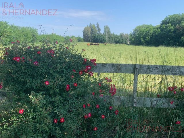 place photo 47