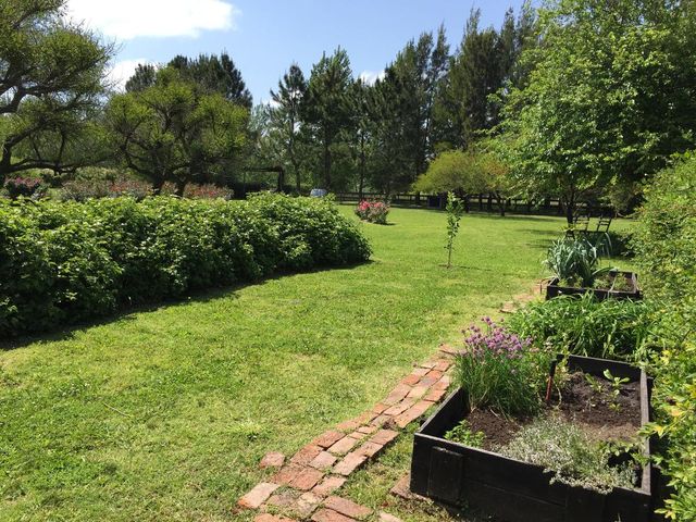 place photo 46