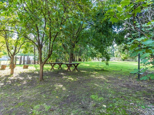 place photo 46