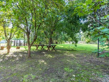 place photo 46