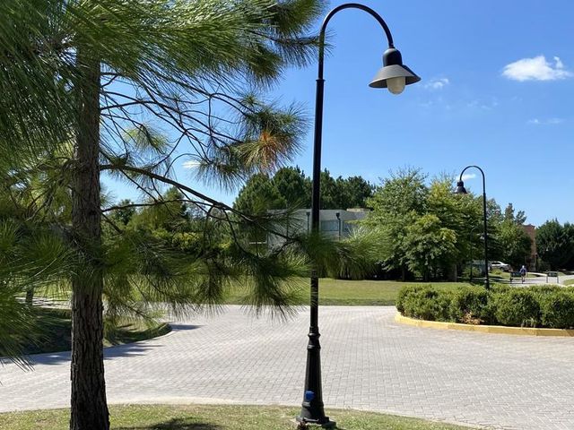 place photo 35