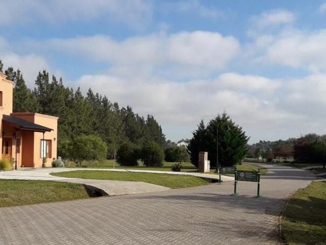 place photo 33