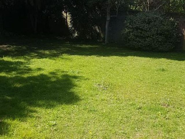 place photo 39