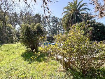 place photo 38