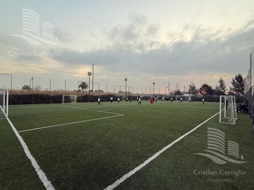 place photo 17
