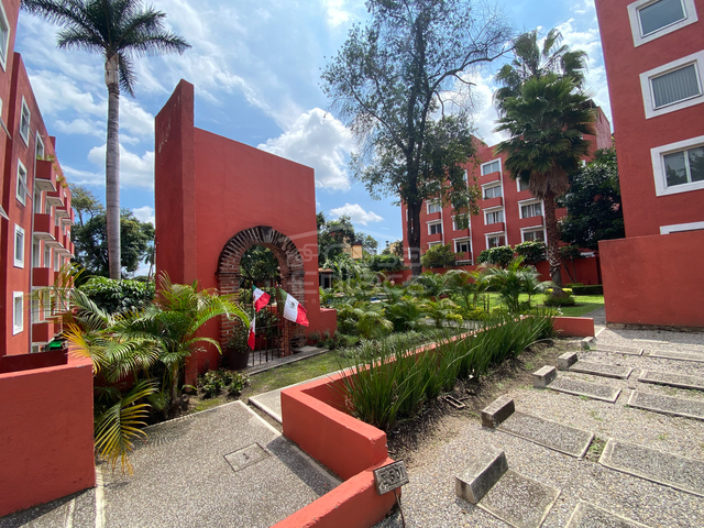 place photo 24