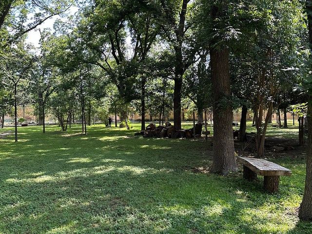 place photo 11