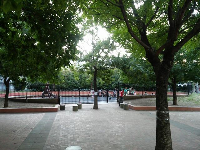 place photo 12