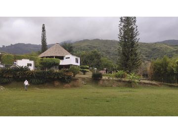 place photo 65