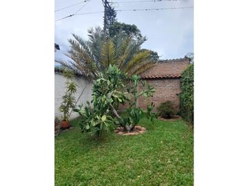 place photo 59
