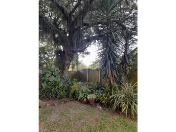 place photo 61