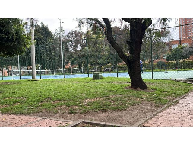 place photo 16