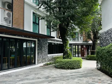place photo 46