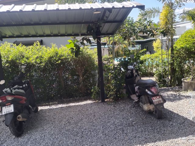 place photo 36