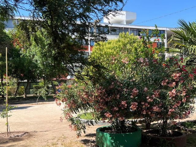 place photo 20