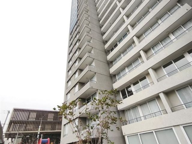 place photo 38