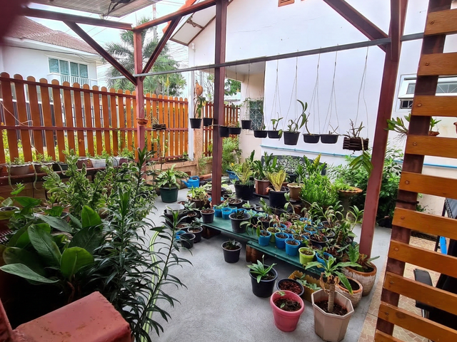 place photo 51