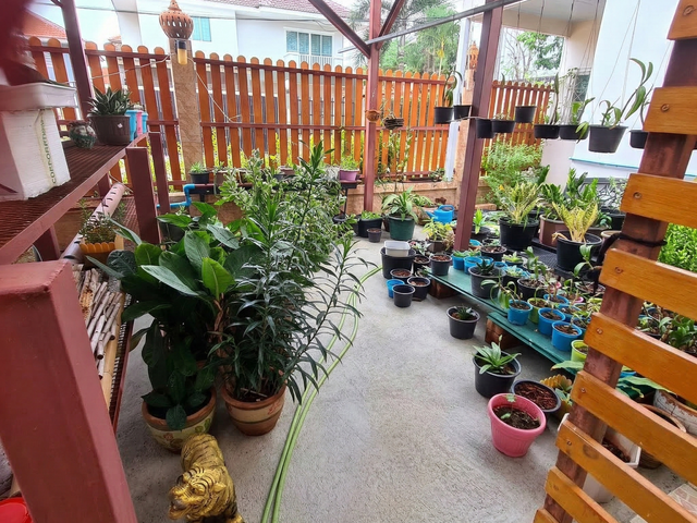 place photo 52