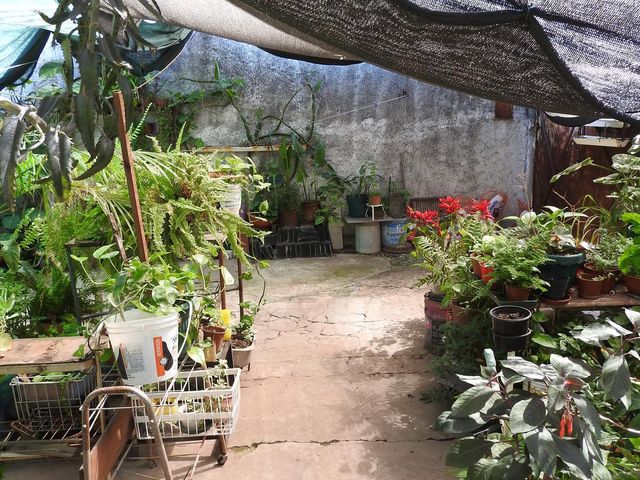 place photo 22