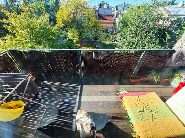 place photo 34