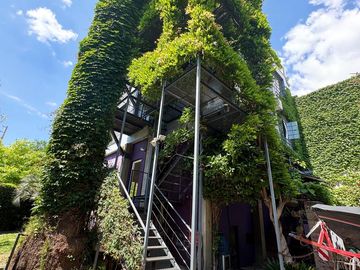 place photo 39