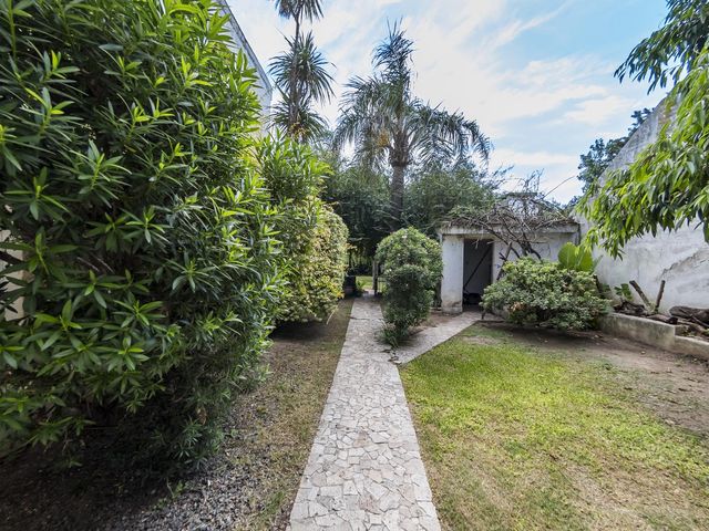 place photo 42