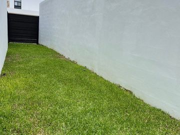 place photo 31