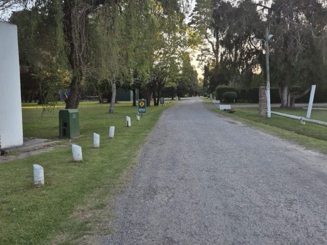 place photo 31