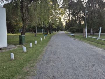 place photo 31