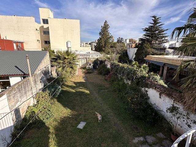 place photo 16