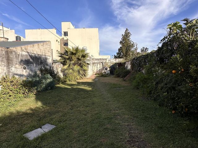 place photo 22