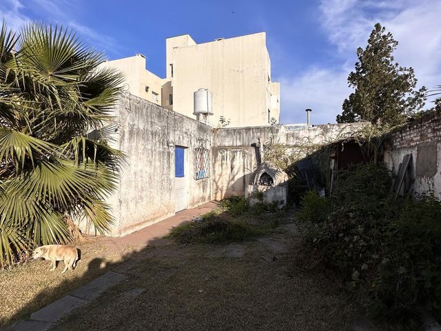 place photo 23