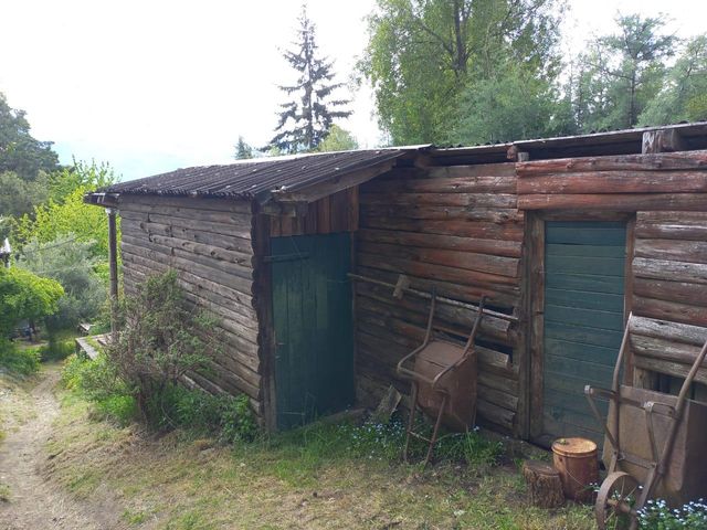 place photo 39