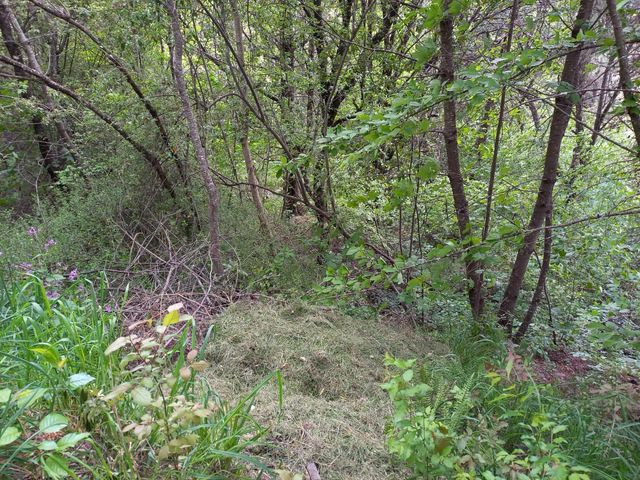place photo 48