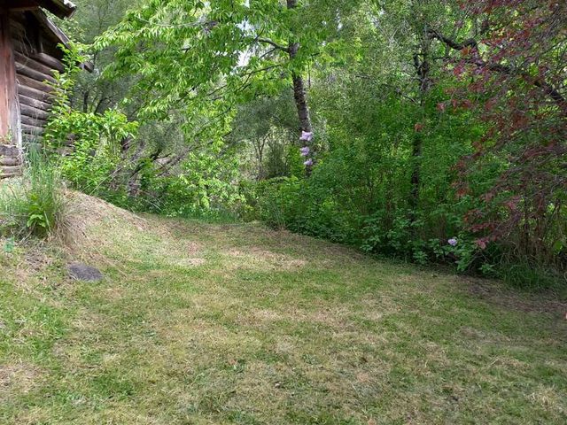 place photo 46