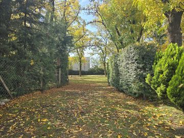 place photo 37