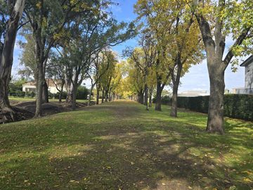 place photo 39