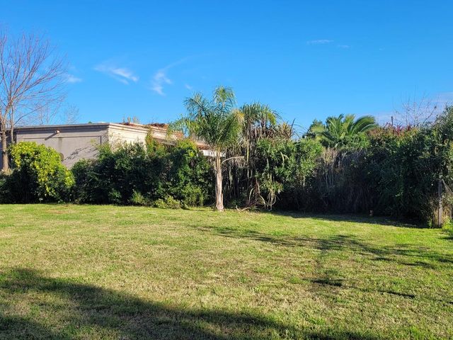 place photo 39