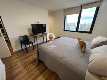 place photo 35