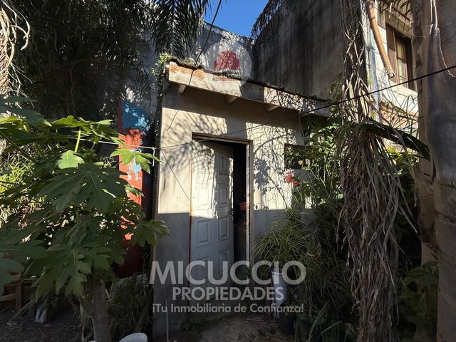 place photo 30