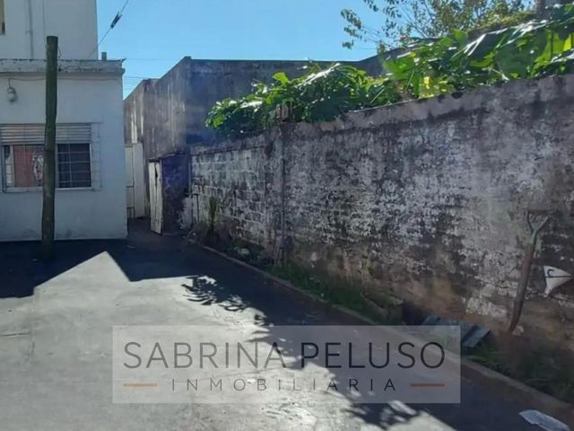place photo 16
