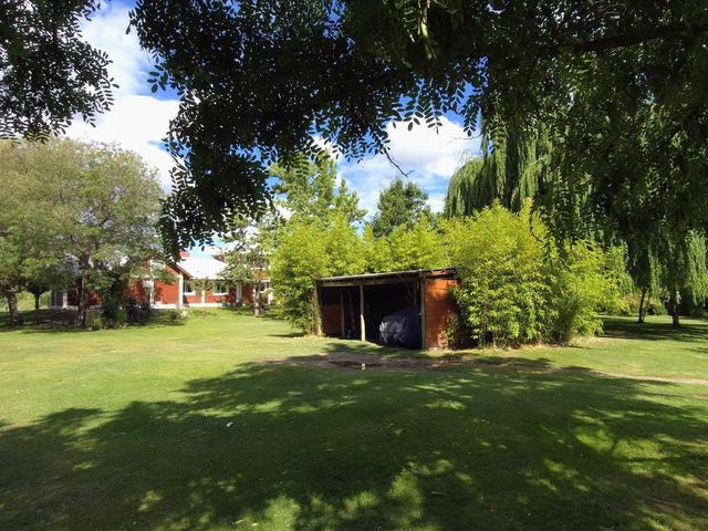 place photo 14